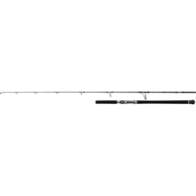 Aanbieding Penn Battalion Solid Offshore Casting 2.23m 15-80gr