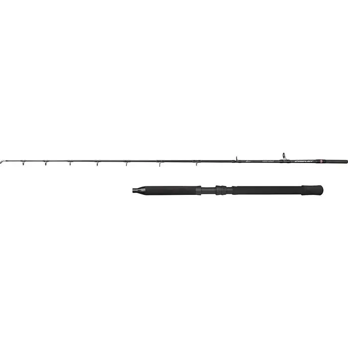 Betrouwbaar Penn Conflict DeepDrop 2.10m 500-1000g