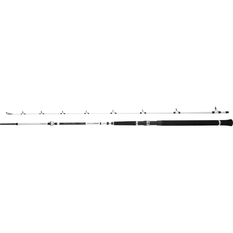 Bestel Nu Spro Saltwater Salty Beast Nano Heavy Jig BC 2.40m 250gr - Voorradig