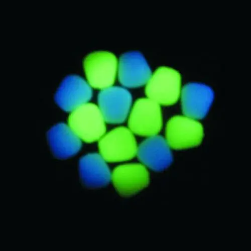 Bestseller Enterprise Tackle Niteglow Corn Neon Green