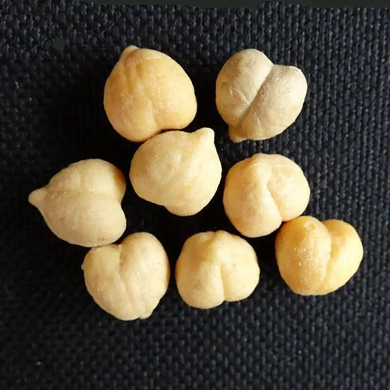 Finale Uitverkoop Enterprise Tackle Imitation Chick Peas