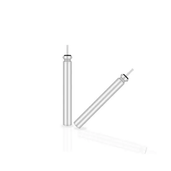 Lion Sports Float Battery 3V 2 stuks Tijdelijk Beschikbaar
