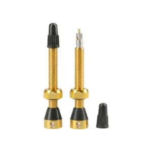 Tubeless Ventielen Tubolight Valves paar Gold Betaalbaar