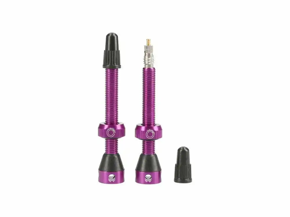 Meest Verkocht Tubolight Ventielen paar Purple