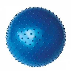 Koop Online Gymbal Yate met uitsteeksels blauw 65cm