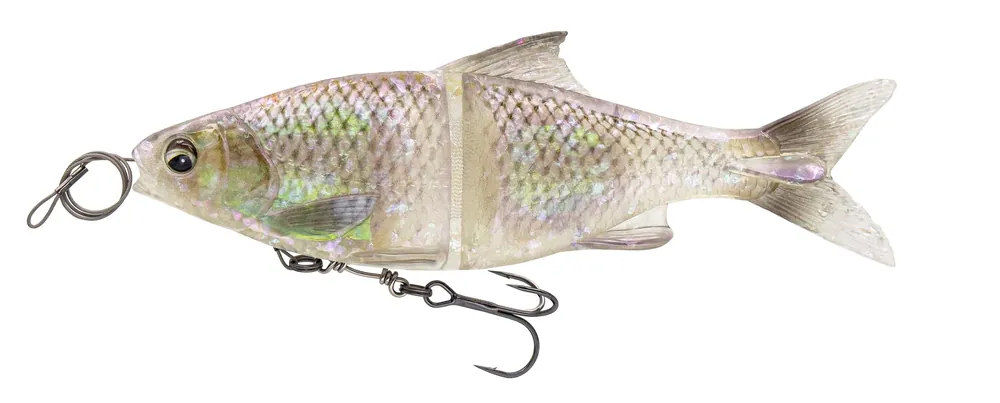 Premium Savage Gear 3D Glide Roach Glidebait 23cm (170g) Hugo