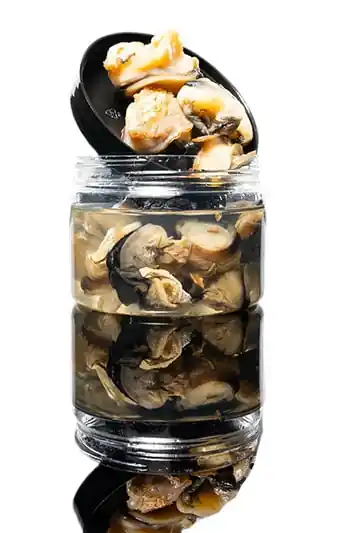 Subgrubs Slakken Natural Hookbaits (30 Stuks) Gratis Retour