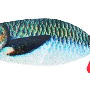 Koop Online Fish4All Seducer Spoon (40g) Mackerel