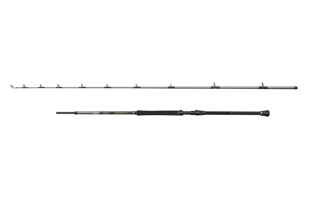 Penn Regiment IV Boat Braid Hengel 822 2.49m 12-20lb Dagaanbieding
