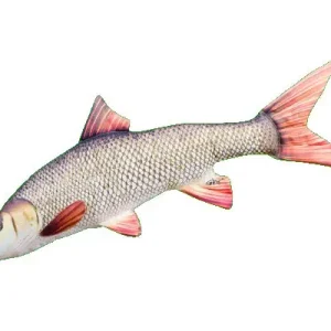 Aanbieding Gaby The Barbel Pillow