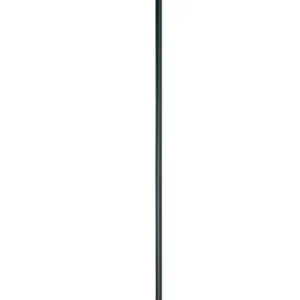 Carp Zoom Tele Bank Stick 55cm Fabrieksprijs