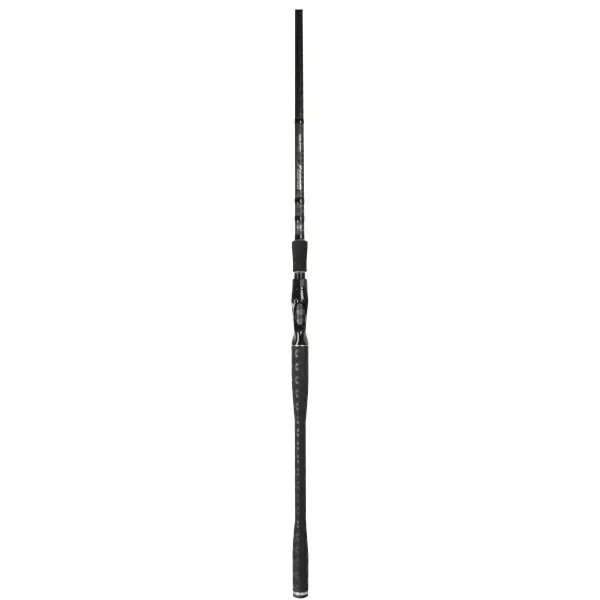 BFT Lizzard X Pierre Monjarret Baitcaster Hengel 2.62m (200g) Koop Online