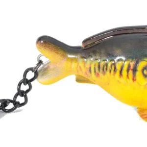 Beperkte Voorraad Anaconda Beauty Carp Sleutelhanger