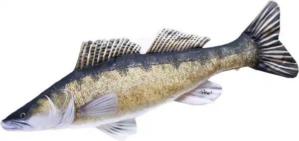 Direct Beschikbaar Gaby The Zander The Monster Zander 200cm