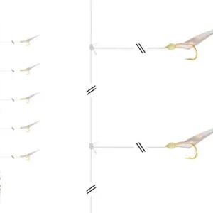 Bestseller Daiwa GrandW. Herring-Rig Sabiki #10 glow