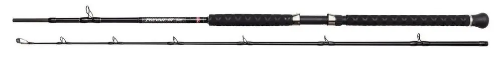 Penn Prevail III LE 212 Boat Boothengel 20-30lb Alleen Vandaag