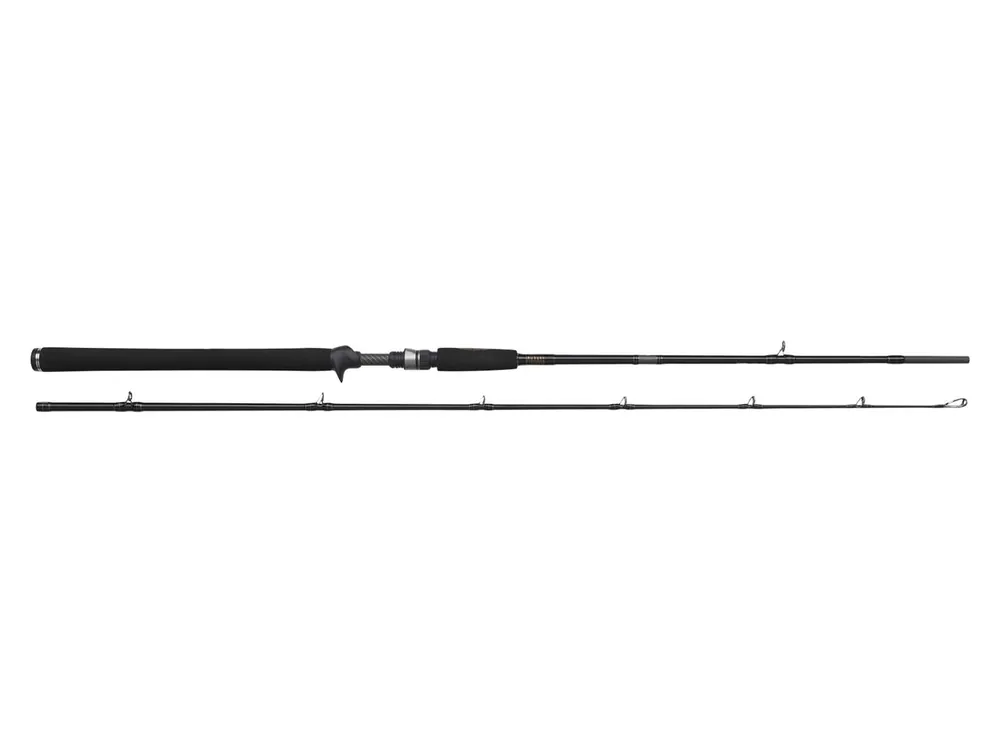 Hoge Kwaliteit Westin W3 Jerkbait XXH Hengel 1.95m (40-130g)