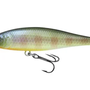 Lucky Craft Pointer 65DD Plug 6.5cm (5.4g) BE Gill Gecertificeerd