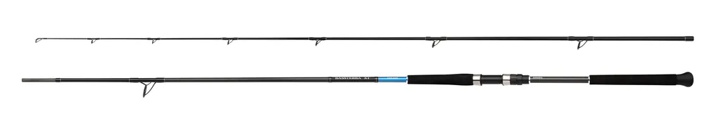 Koopje Shimano Bassterra XT Shore Jigging Zeevishengel 3.05m/10ft (50–150g)