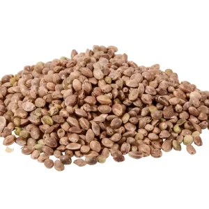 Hemp - 2,5kg Beperkte Voorraad
