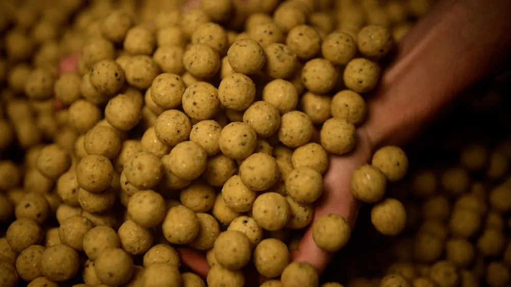 Seizoensaanbieding Tactic Carp Soluble Boilies Creamy Custard (1kg) 15mm