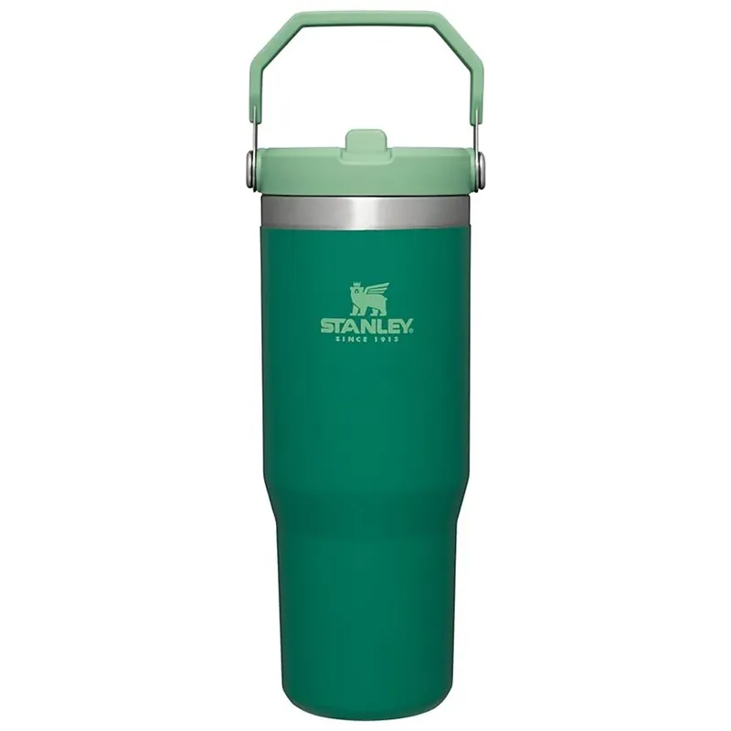 Stanley IceFlow Flip Straw vacuüm geïsoleerde roestvrijstalen beker 20 oz. Betrouwbaar