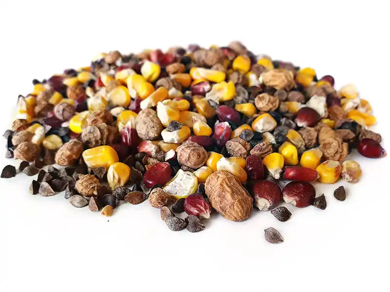 Actieprijs Tijgernotenkopen Platina Partikel Mix (2.5kg)
