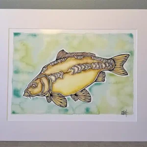 EBH Arts Vis Poster Carp (Ingelijst) Populair