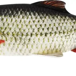 Beperkte Voorraad Westin Ricky The Roach Official Roach 10cm (2 stuks) Fire Perch