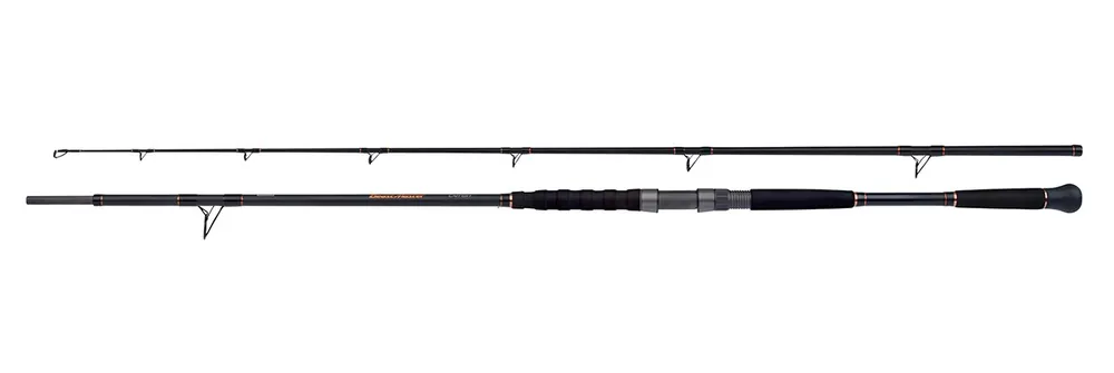 Merkproduct Shimano Beastmaster Catfish Meervalhengel Multi 2.3m (200g)