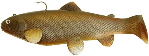 Laatste Versie Castaic Swimbait Trout 20cm Carp