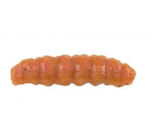 Berkley Gulp! Honey Worm 45mm (10 stuks) Milky White Beste Prijs