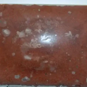 Laatste Kans Bevroren Viseieren | Fish Eggs | 1000g | Natuurlijk Aas | Natural Baits