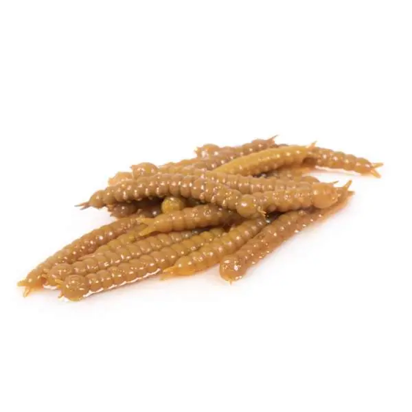 Betrouwbaar Libra Lures Slight Worm | Coffee Milk | 3.8cm | 15 Stuks