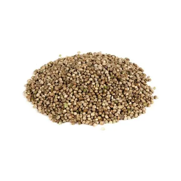 Direct Beschikbaar Evezet Hennepzaad | 1kg