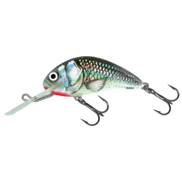 Voordeelprijs Salmo Hornet Floating | Plug | Holo Grey Shiner | 5cm