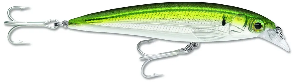 Rapala X-Rap Saltwater - 12cm Gratis Retour