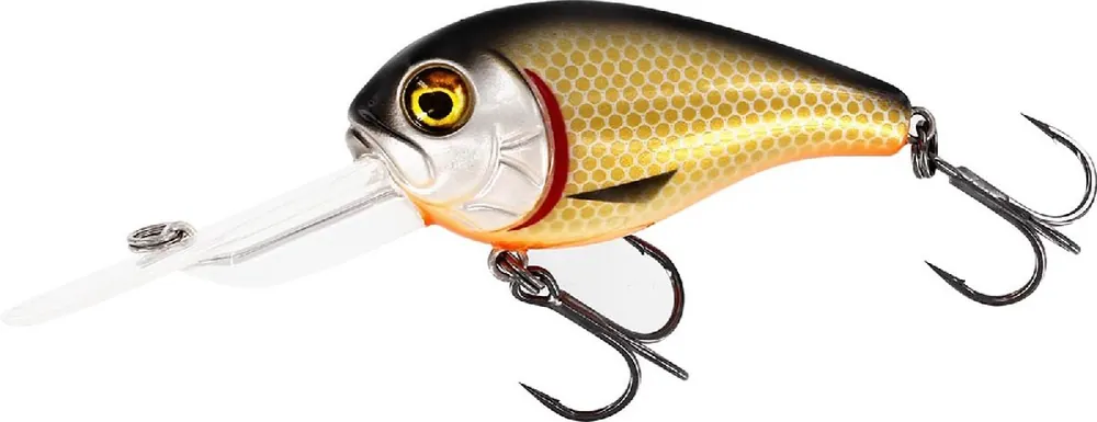 Shop Nu Westin Megabite - DR Crankbait - 6cm - 19g - Floating - Official Roach