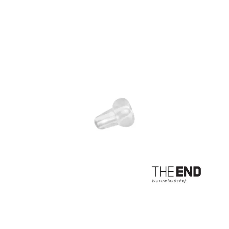 Haak stopper THE END Ronnie | 20st Shop Nu