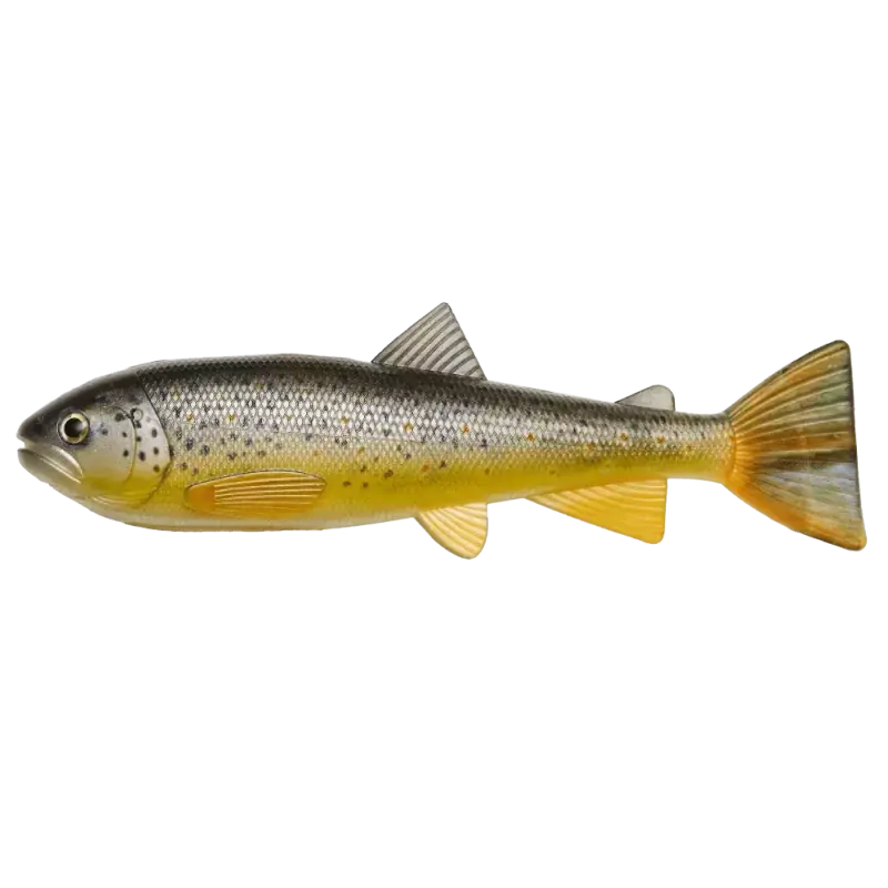 Snelle Levering Trout Kit 20 cm | Brown Trout - 102 Gram