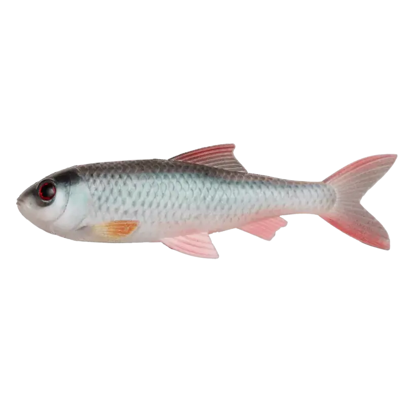 Voordeelprijs Roach Skinz 20 cm - Per Stuk | Natrural Roach