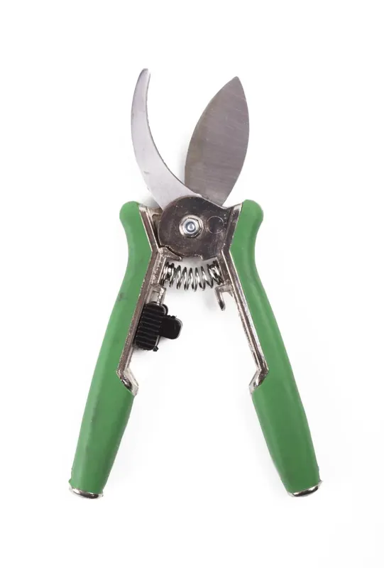 Nu Kopen Benson Kromme Bloemensnoeischaar - 15 cm - 18 mm