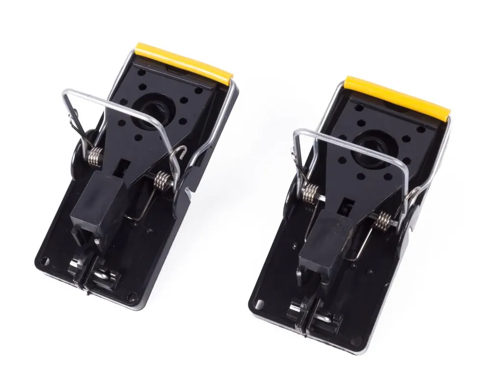Benson Plastic Muizenvallen - Set van 2 - 9.7 cm - Ongediertebestrijding Betaalbaar